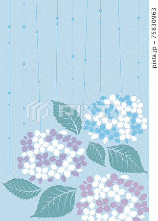 紫陽花と雨で表現した梅雨のイメージ素材のイラスト素材