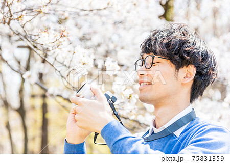 満開の桜をミラーレスカメラで撮影する男性 75831359