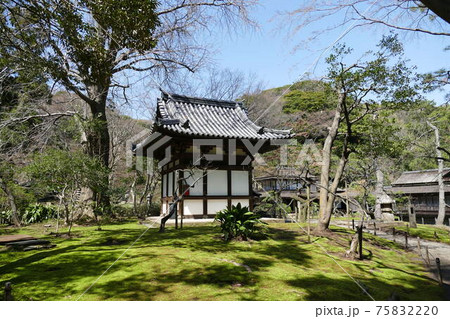 横浜散策 75832220