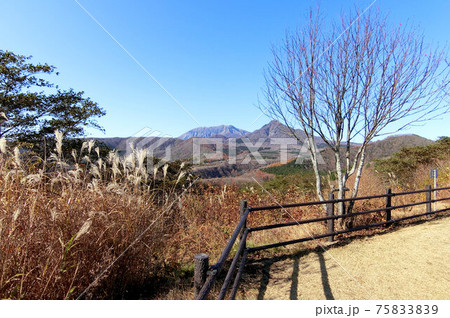 蒜山高原　快晴の秋　鬼女台展望休憩所から大山を望む 75833839