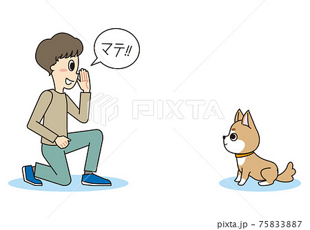 トレーナーのしつけを聞く柴犬 トレーナーのしつけを聞く柴犬 75833887