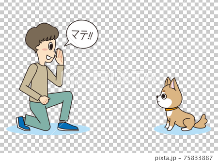 トレーナーのしつけを聞く柴犬 トレーナーのしつけを聞く柴犬 75833887