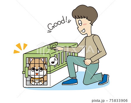 トレーナーのしつけを聞いてクレート(ハウス)に入った柴犬 トレーナーのしつけを聞いてクレート(ハウス)に入った柴犬 75833906