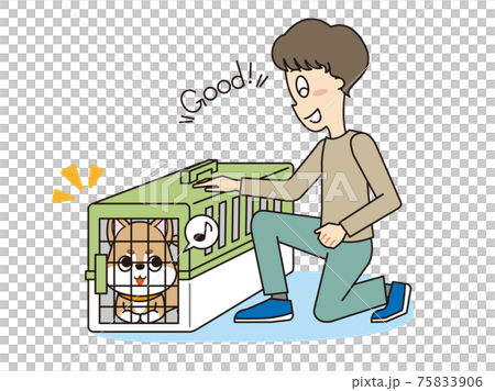 トレーナーのしつけを聞いてクレート(ハウス)に入った柴犬 トレーナーのしつけを聞いてクレート(ハウス)に入った柴犬 75833906