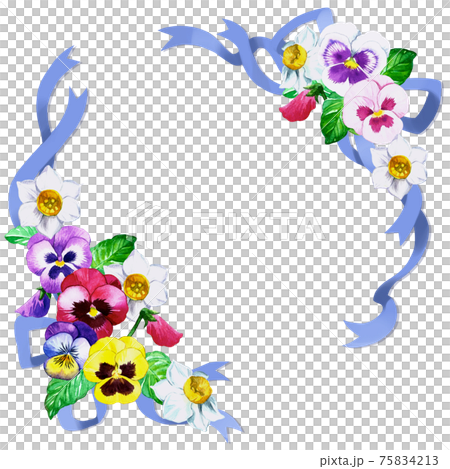 水彩で描いた春色パンジーと水仙のおしゃれな花束リボンフレーム 水彩で描いた春色パンジーと水仙のおしゃれな花束リボンフレーム 75834213