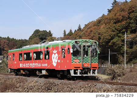 紅葉をバックに走る真岡鐵道ローカル車両 75834229