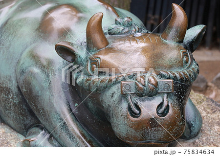 大阪天満宮の撫牛 75834634