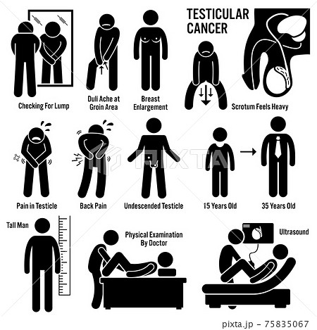 Testicular Testicles Testes Cancer Symptoms Causes Risk Factors Diagnosis Stick Figure Pictogram Icons.  75835067