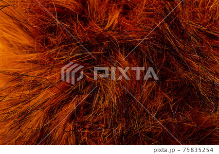 Background and texture of the fur macro image, artificial fabric Background and texture of the fur macro image, artificial fabric 75835254