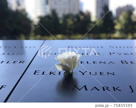 花 記念館 記念 75835505