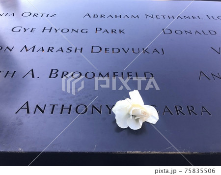 花 記念館 思い出 75835506