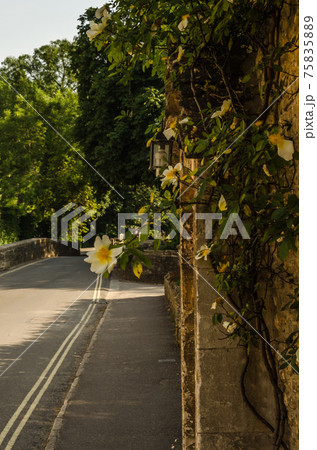 old English town and beautiful historic buildings, old street, historical architecture old English town and beautiful historic buildings, old street, historical architecture 75835889
