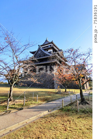 現存十二天守の国宝松江城 天守を望む 現存十二天守の国宝松江城 天守を望む 75836191