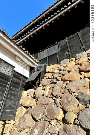 現存十二天守の国宝松江城と石垣 75836193