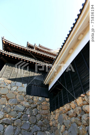 現存十二天守の国宝松江城と石垣 75836194