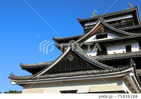 現存十二天守の国宝松江城 天守閣を望む 現存十二天守の国宝松江城 天守閣を望む 75836198