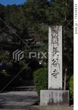 長谷寺の風景 75836834