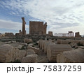 シリア旅行からパルミラ遺跡 75837259