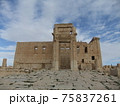 シリア旅行からパルミラ遺跡 75837261