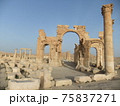 シリア旅行からパルミラ遺跡 75837271