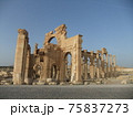 シリア旅行からパルミラ遺跡 75837273