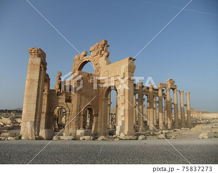 シリア旅行からパルミラ遺跡 75837273