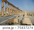 シリア旅行からパルミラ遺跡 75837274