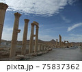 シリア旅行からパルミラ遺跡 75837362