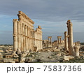 シリア旅行からパルミラ遺跡 75837366