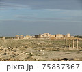 シリア旅行からパルミラ遺跡 75837367
