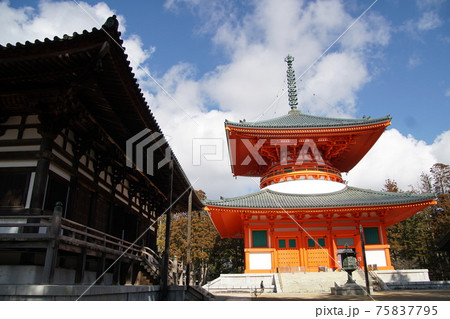 高野山 壇上伽藍 高野山 壇上伽藍 75837795