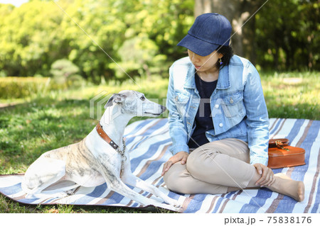 公園内の木陰の中でレジャーシートを広げて寛ぐ女性とその愛犬 公園内の木陰の中でレジャーシートを広げて寛ぐ女性とその愛犬 75838176