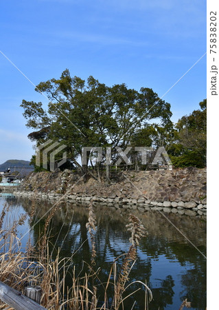 撫川城04 撫川城04 75838202
