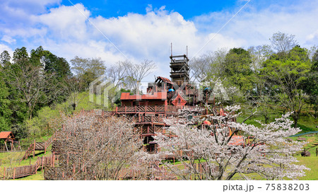 桜と大型冒険遊具「虎居城」 北薩広域公園にて 桜と大型冒険遊具「虎居城」 北薩広域公園にて 75838203