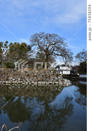 撫川城05 撫川城05 75838204