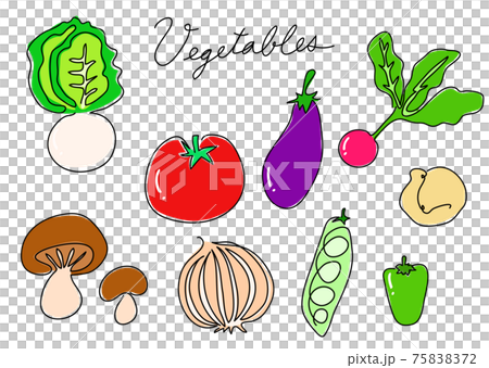 One-stroke writing vegetables 01 (color) tomatoes, turnips, shiitake mushrooms, etc. One-stroke writing vegetables 01 (color) tomatoes, turnips, shiitake mushrooms, etc. 75838372