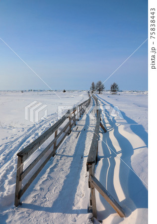 Winter landscape with a bridge over a frozen lake on a clear sunny day Winter landscape with a bridge over a frozen lake on a clear sunny day 75838443