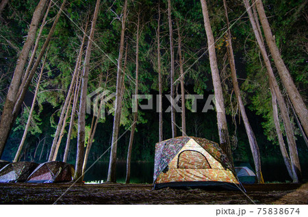 Dancing camping in Pang Ung forest, Mae Hong Son province, Thailand 75838674