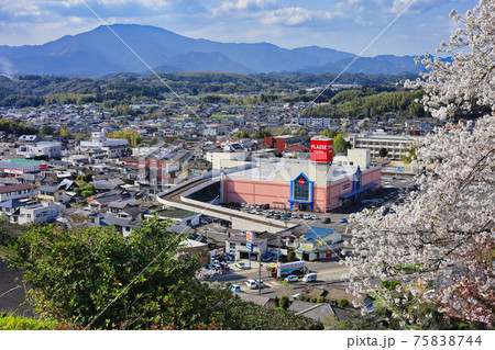 桜と紫尾山　さつま町の町並み 75838744