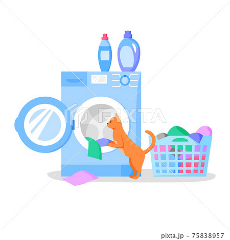 Cat looking in open washing machine, laundry basket with clothes, bottles with liquid detergents, vector flat illustration. 75838957