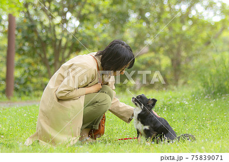 芝生の上で見つめ合う愛犬家の女性と黒いチワワの写真素材 [75839071 