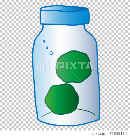 瓶に入ったマリモのイラスト 75839114