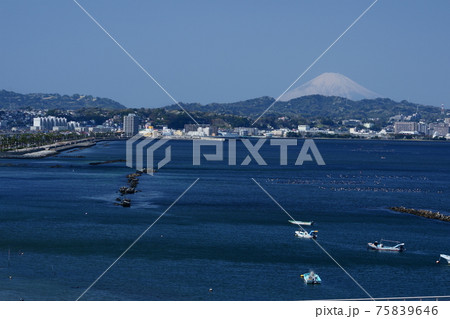 走水水源地の桜と富士山 走水水源地の桜と富士山 75839646