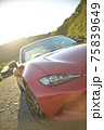 オープンカーの顔 75839649