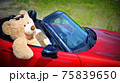 オープンカーをドライブするクマの人形 75839650