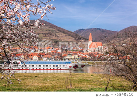 Weissenkirchen village with tourist ship on Danube river during spring time in Wachau, Austria 75840510