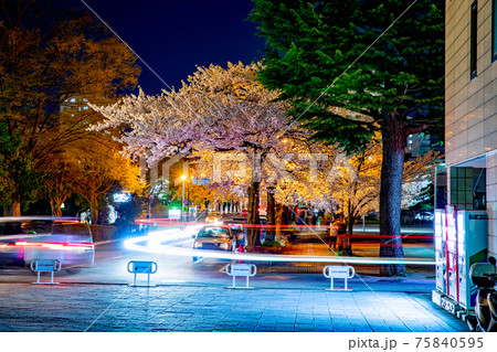 春の夜の街角 春の夜の街角 75840595
