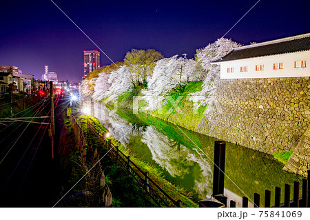 霞城公園の夜桜 霞城公園の夜桜 75841069