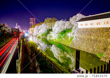 霞城公園の夜桜 75841070