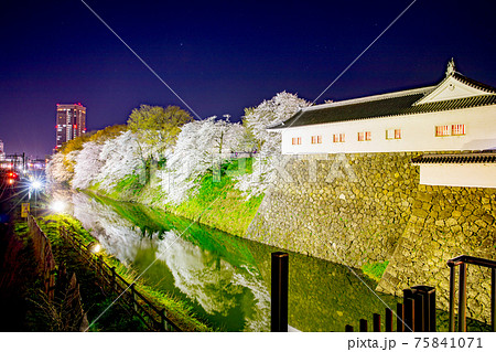 霞城公園の夜桜 75841071